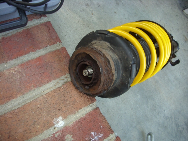 DSCI0008.JPG