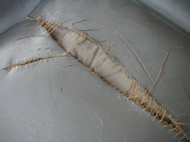 I came back out the next day and doubled up all the stitches. I didn't take any pics, because I knew this was a wasted effort. Now less than a month later, the stitches are all torn out. Oh well.