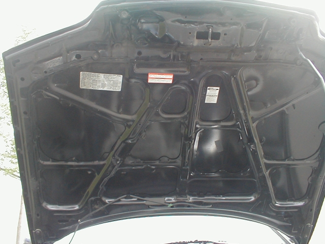 That's much better. If it was supposed to protect the paint on the hood, we're long past that point.