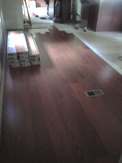 Living Room - Day 4