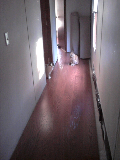 Hallway - Day 4