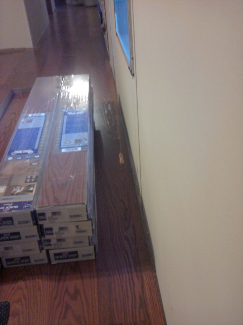 Hallway & Living Room - Day 5