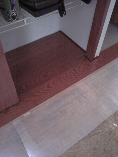 Kitchen - Day 7
