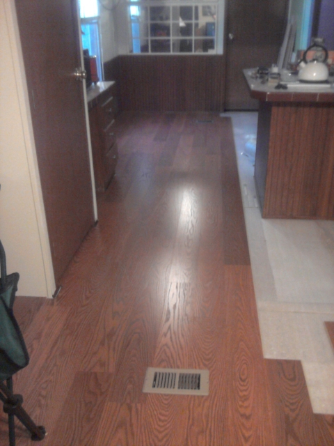 Kitchen - Day 7