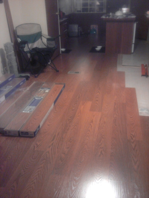 Living Room & Kitchen - Day 7