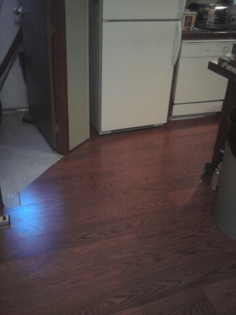 Kitchen - Day 8