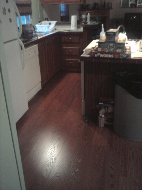 Kitchen - Day 8